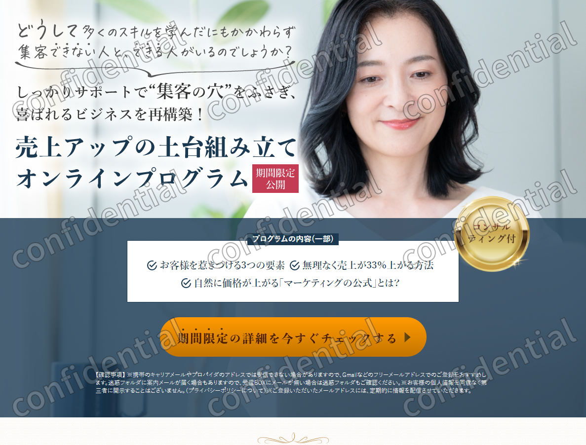 コンサルタントLP